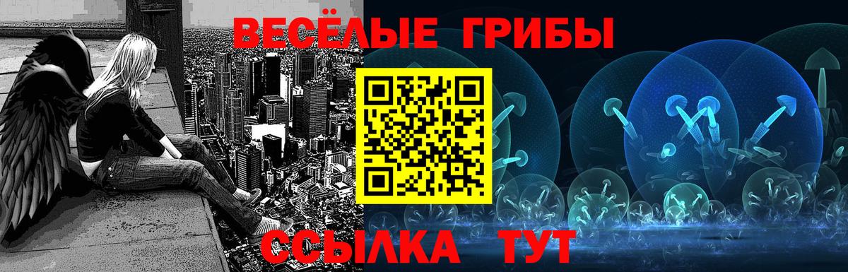 Галлюциногенные грибы Psilocybine cubensis Еманжелинск